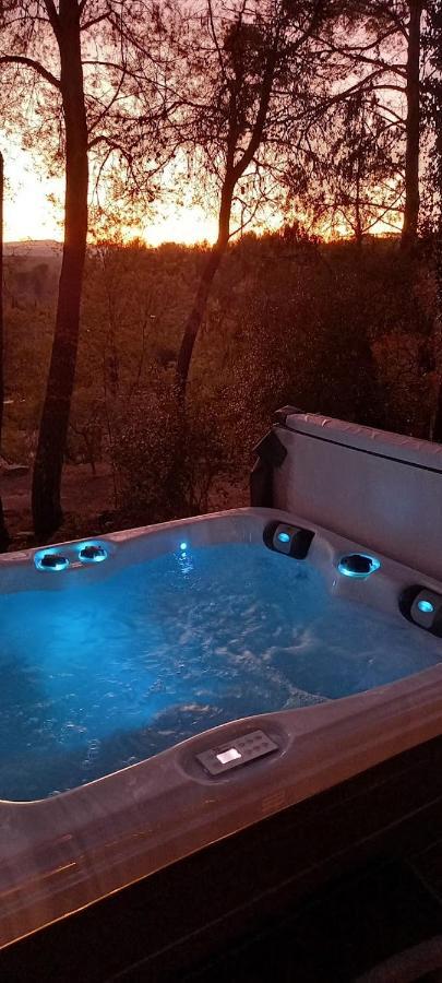 GITE AVEC SPA JACUZZI au cœur de Provence Côte d'Azur Saint-Antonin-du-Var Exterior foto